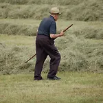 Landhof Schober Lejlighed