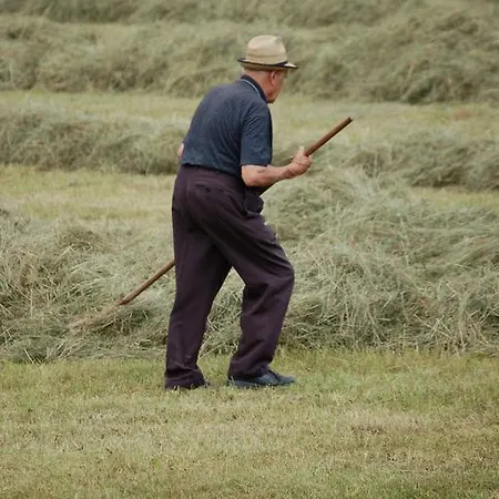 Landhof Schober Διαμέρισμα