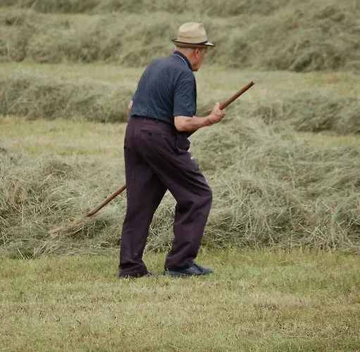 Landhof Schober Apartamento